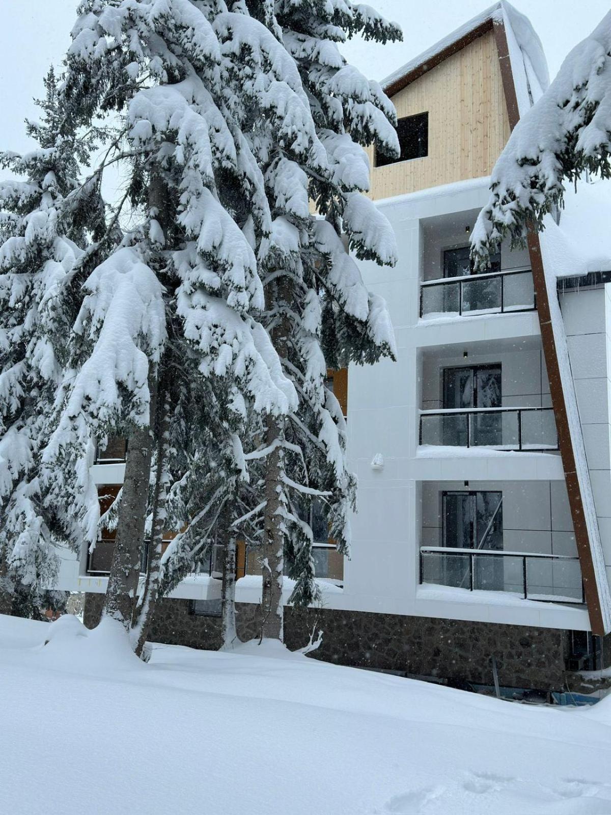 Forest Villa Goderdzi Экстерьер фото