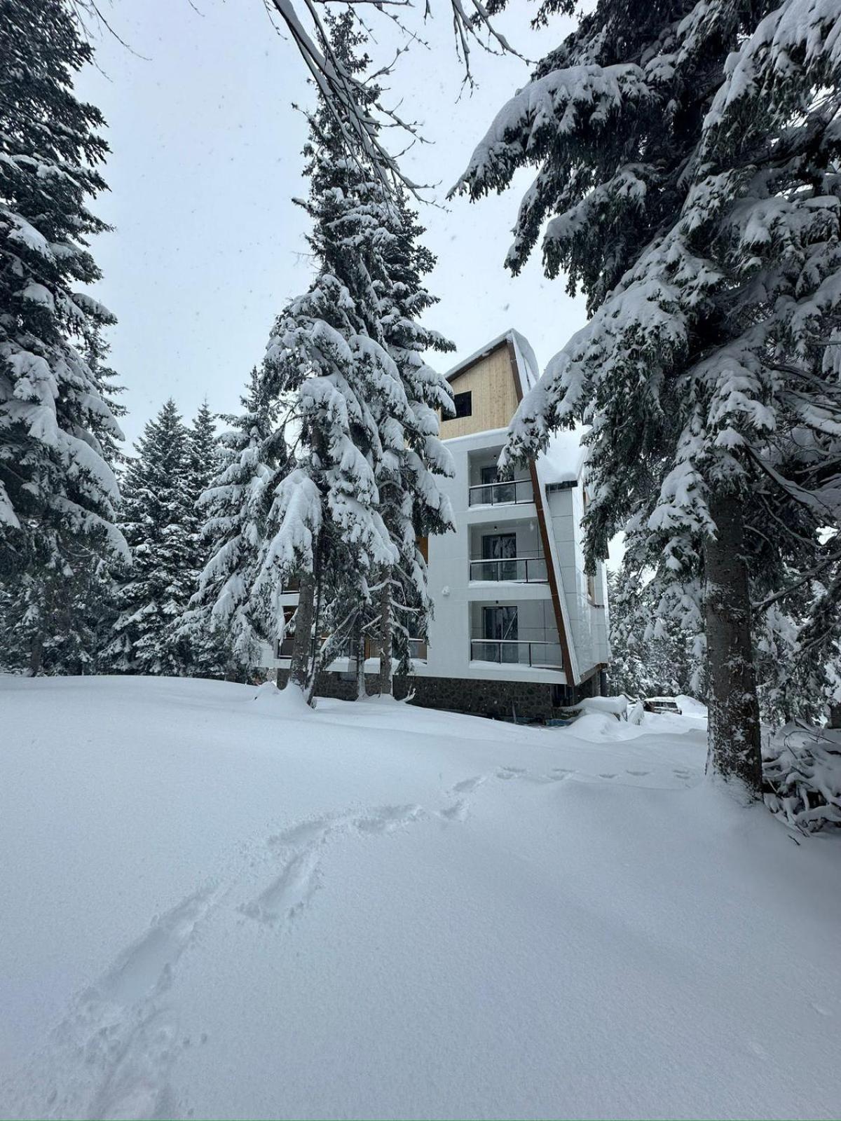 Forest Villa Goderdzi Экстерьер фото